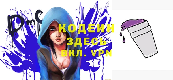 шишки Горняк