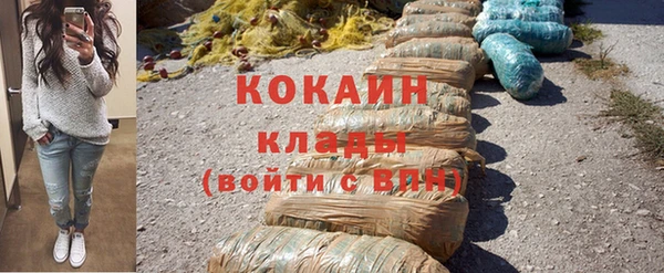 шишки Горняк
