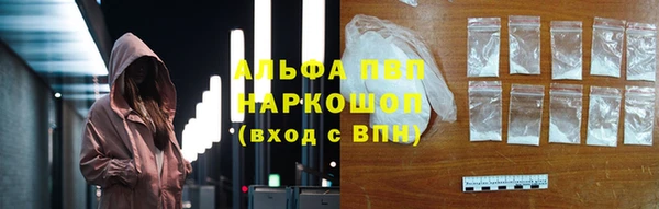шишки Горняк