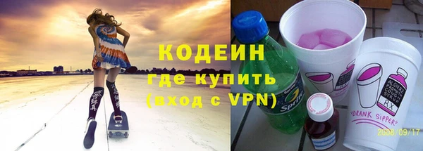 шишки Горняк