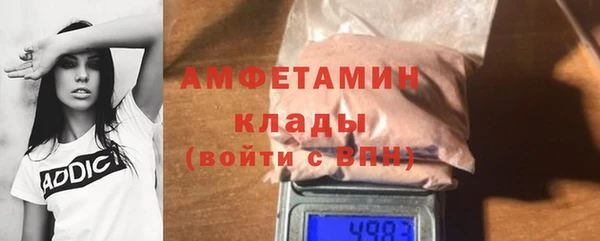 шишки Горняк