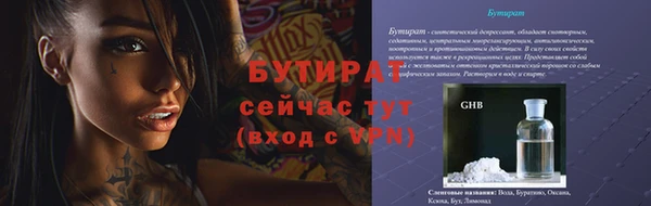 шишки Горняк