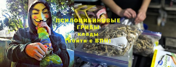 спиды Горнозаводск
