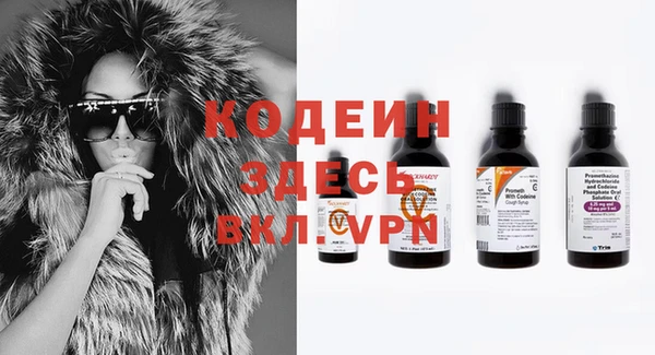 шишки Горняк