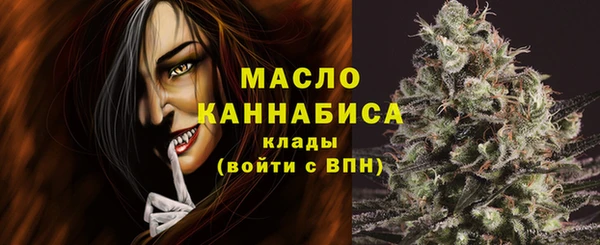 шишки Горняк