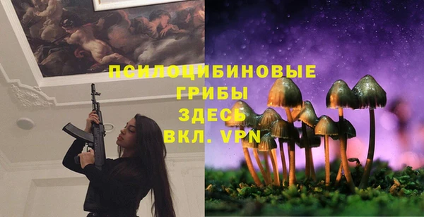 спиды Горнозаводск