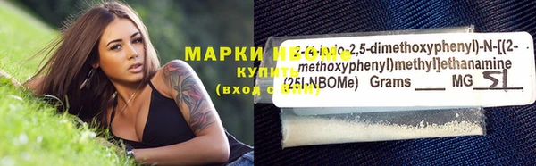 шишки Горняк