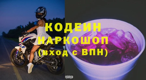 шишки Горняк